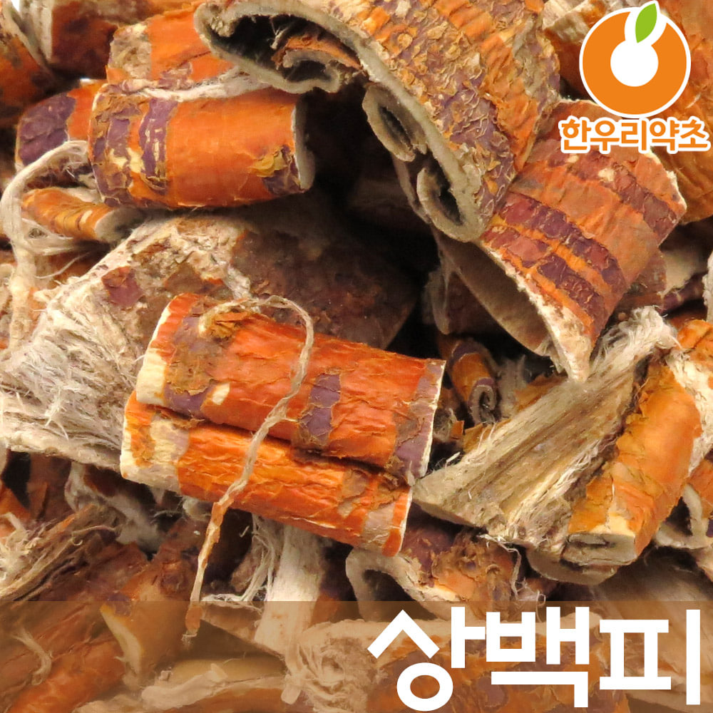 상백피 차 뽕나무뿌리 껍질 국산 600g 효능 먹는방법 파는곳