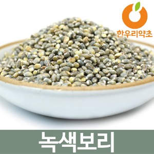 녹색보리쌀 2kg 녹색보리밥 청보리쌀