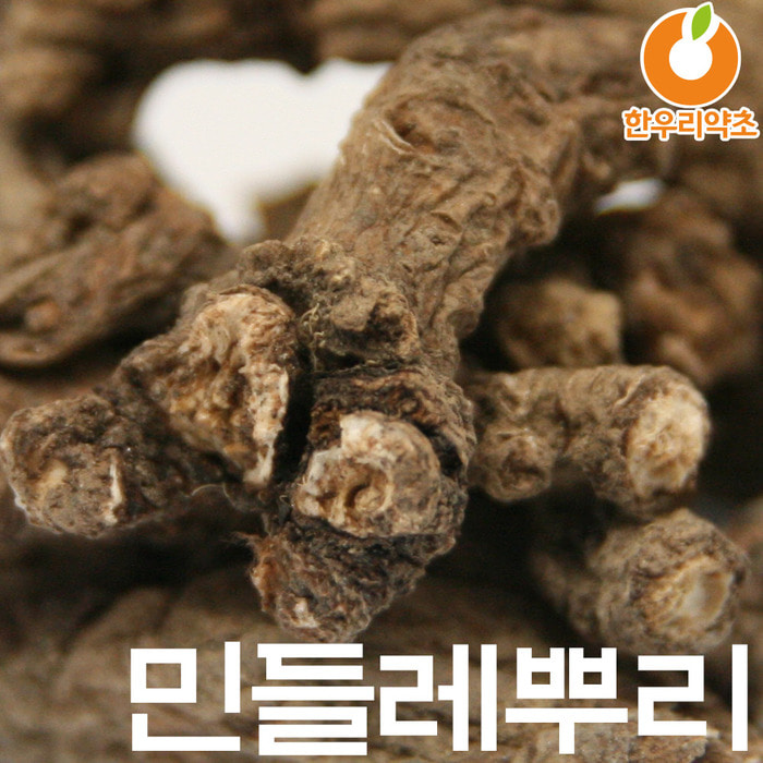 민들레뿌리차 600g 포공영뿌리 국산 파는곳 먹는방법 효능